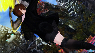 pso2_t651.jpg