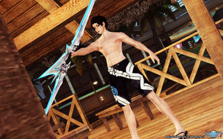 pso2_t690.jpg