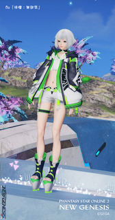 pso2ngs_ss0500.jpg
