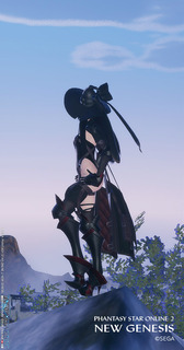 pso2ngs_ss0785.jpg