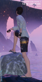 pso2ngs_ss1313.jpg