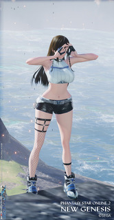 pso2ngs_ss1406.jpg