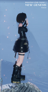 pso2ngs_ss1441.jpg