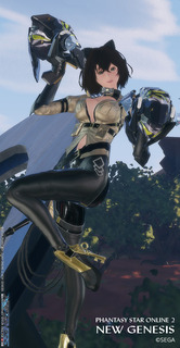 pso2ngs_ss1442.jpg
