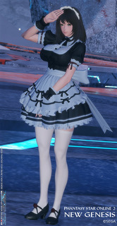pso2ngs_ss1500.jpg