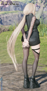pso2ngs_ss1724.jpg