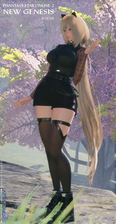 pso2ngs_ss1725.jpg