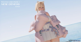 pso2ngs_ss1836.jpg