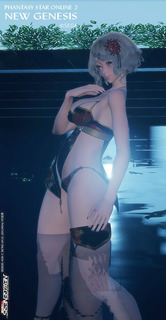 pso2ngs_ss1889.jpg
