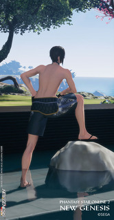 pso2ngs_ss1938.jpg
