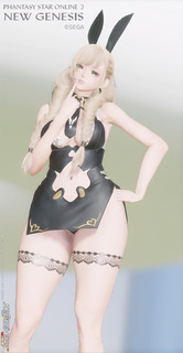 pso2ngs_ss3712.jpg