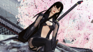 pso2_t292.jpg