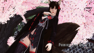 pso2_t301.jpg