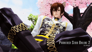 pso2_t313.jpg