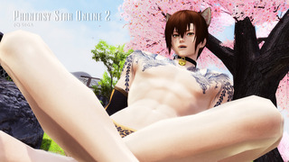 pso2_t314.jpg