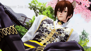 pso2_t317.jpg