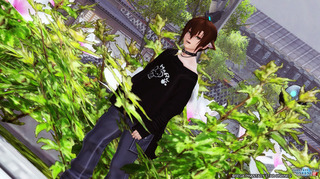 pso2_t590.jpg