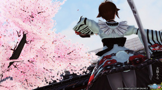 pso2_t604.jpg