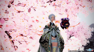 pso2_t619.jpg
