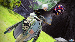 pso2_t620.jpg