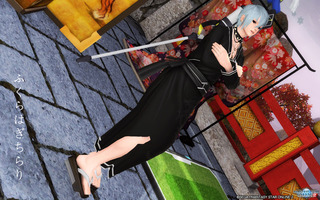 pso2_t704.jpg