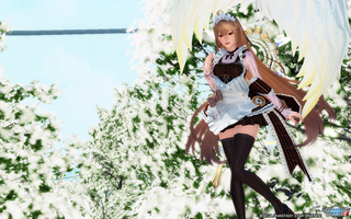pso2_t795.jpg